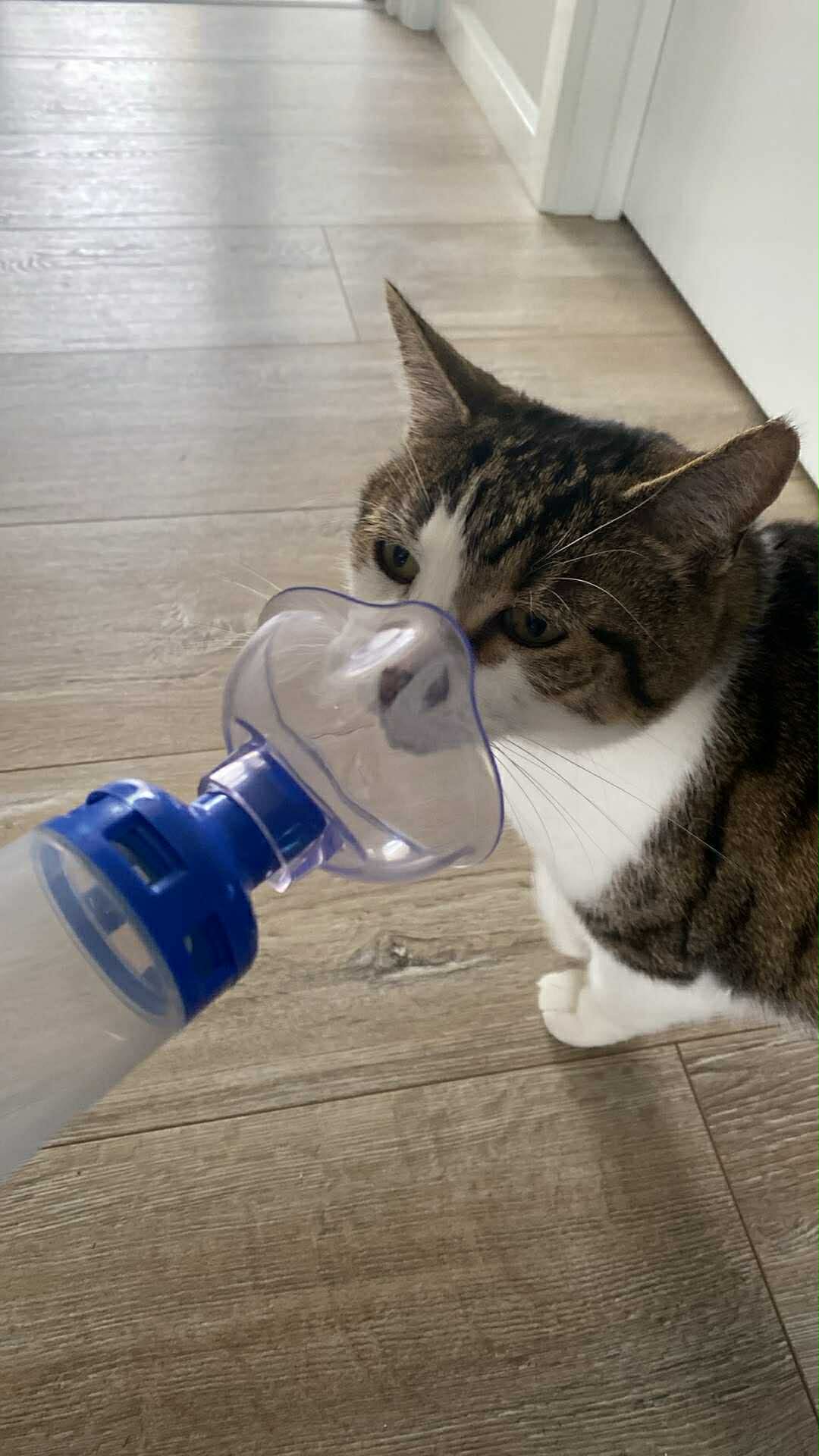 Drogo reference image for medication context